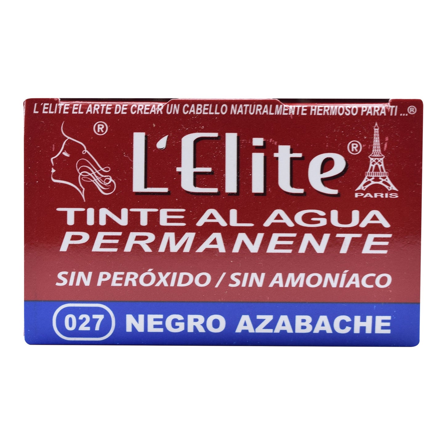 Tinte Negro Azabache 10 G (LELITE)