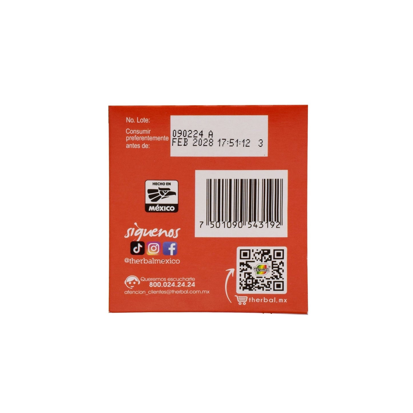 Te De Jengibre 25 Sob (THERBAL)