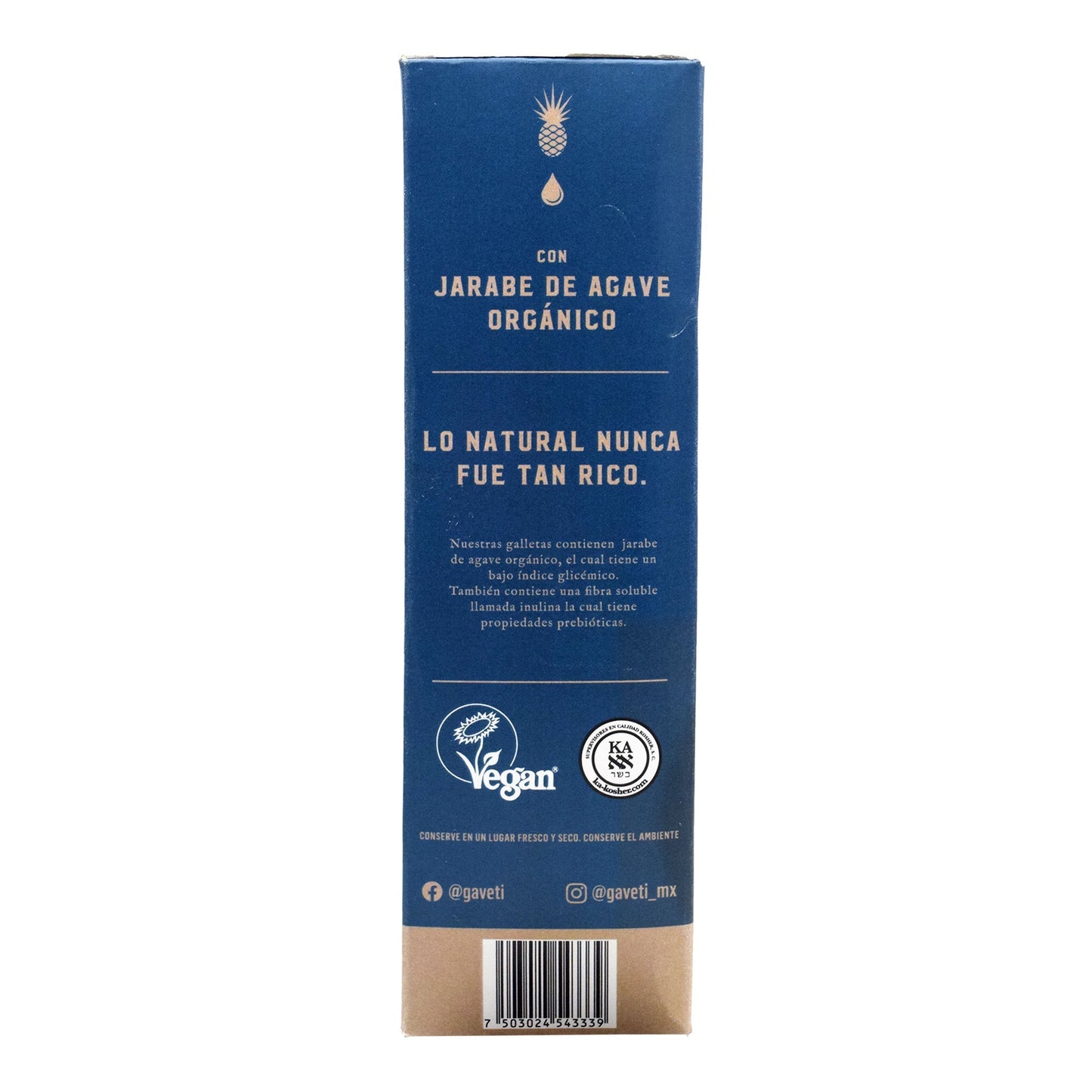 Galleta De Blueberry Chia 210 G (GAVETI)