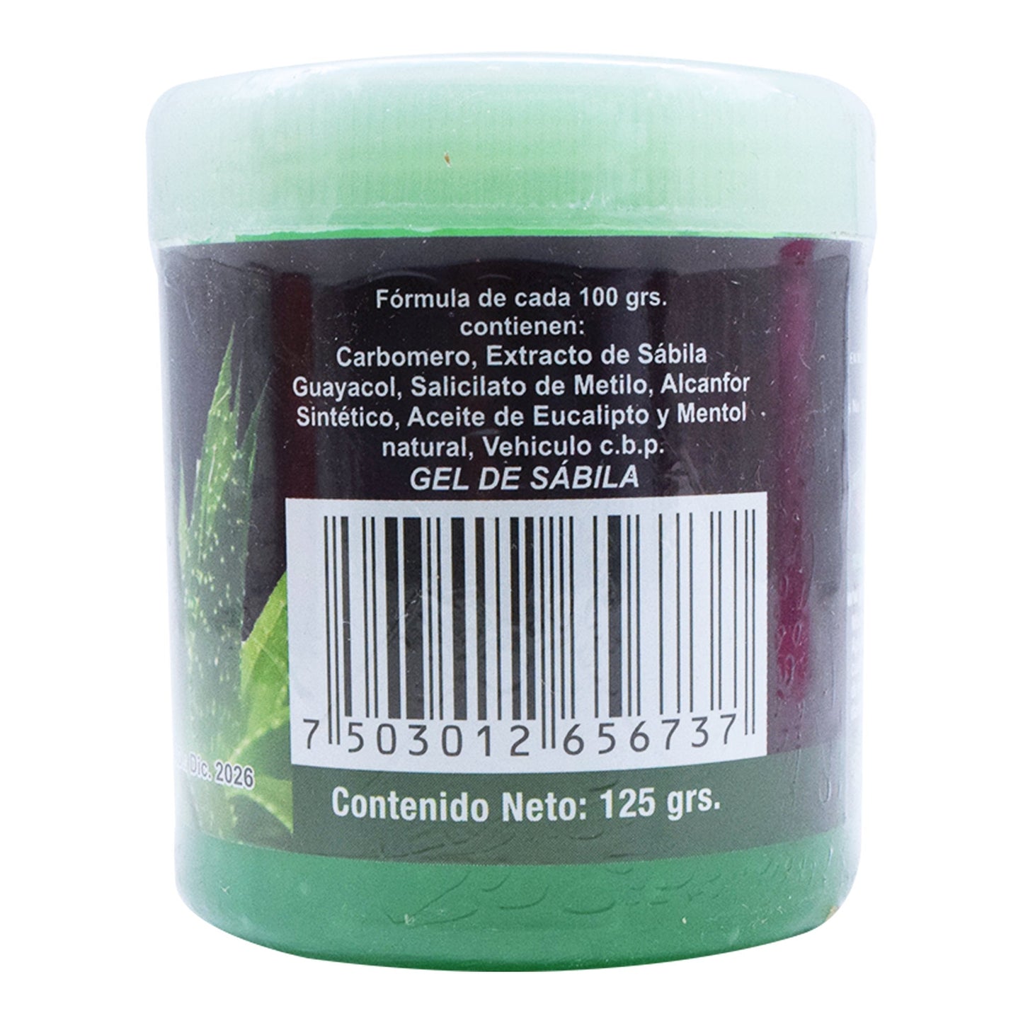 Gel De Sabila 125 G (YERBO VITAL)