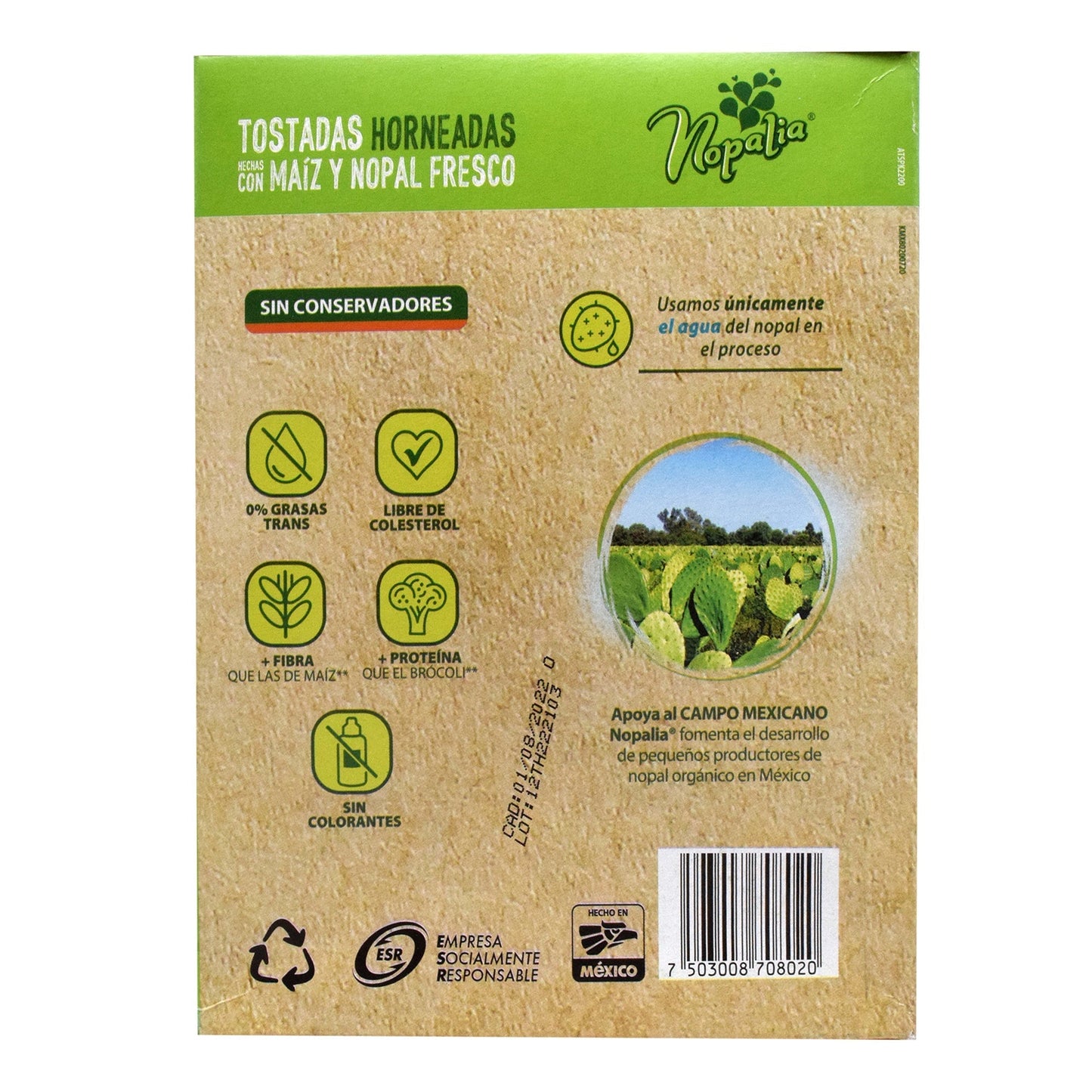 Tostada De Nopal Horneada 189 G (NOPALIA)