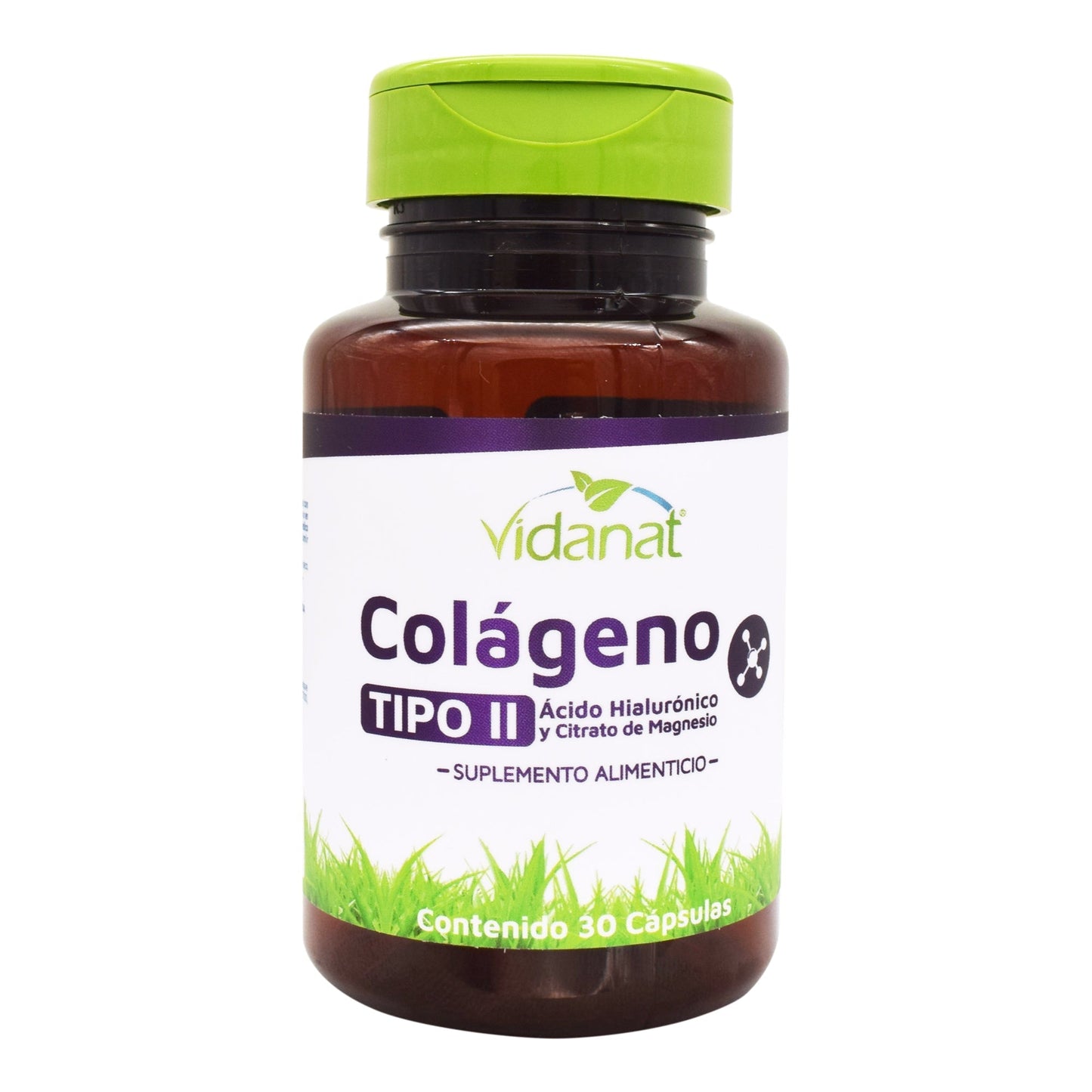 Colageno Tipo Ii Acido Hialuronico Magnesio 30 Cápsulas (VIDANAT VITAMINAS)
