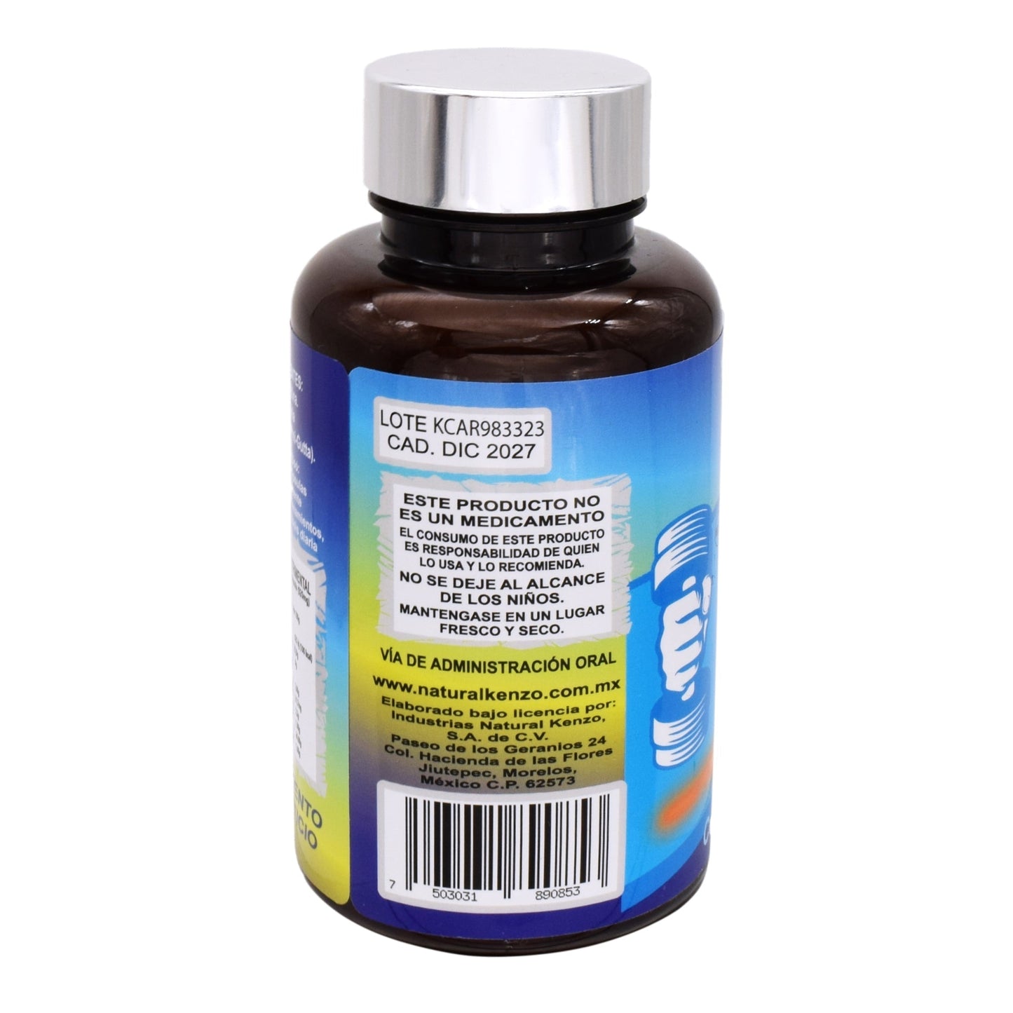 L Carnitina Mas Garcinia 60 Cápsulas (KENZO)