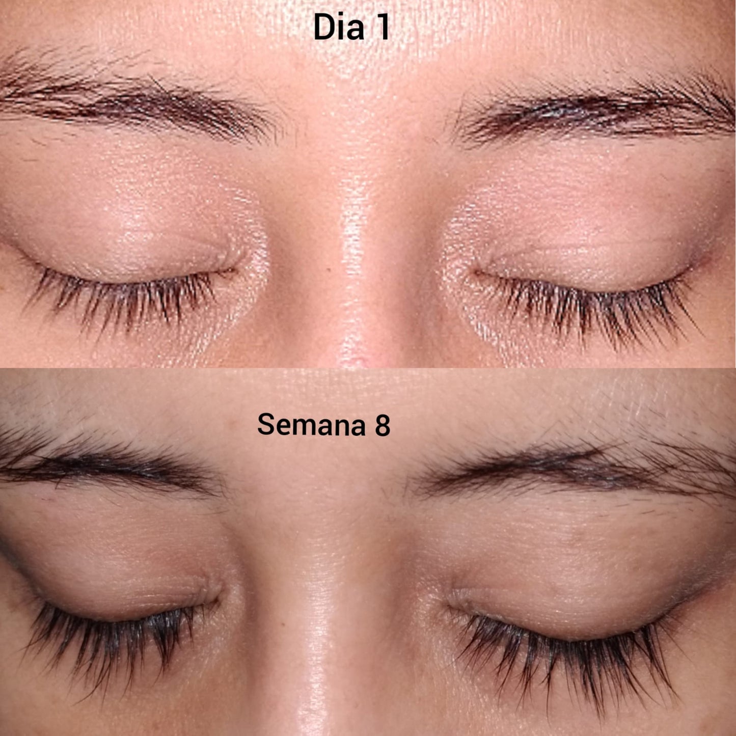 Dabalash Serum amplificador del crecimiento de pestañas y cejas