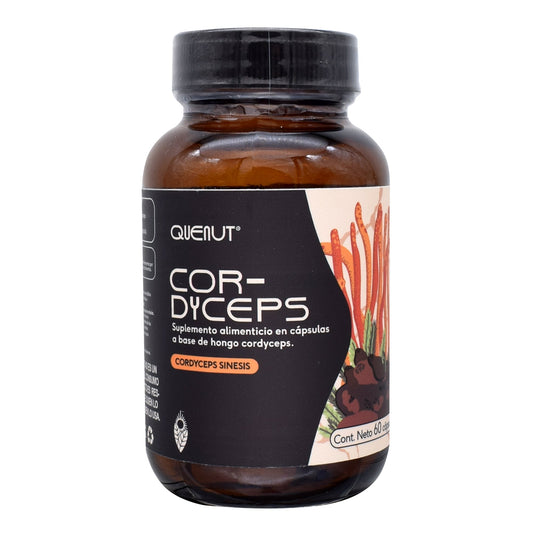 Cordyceps 60 Cápsulas (QUENUT)