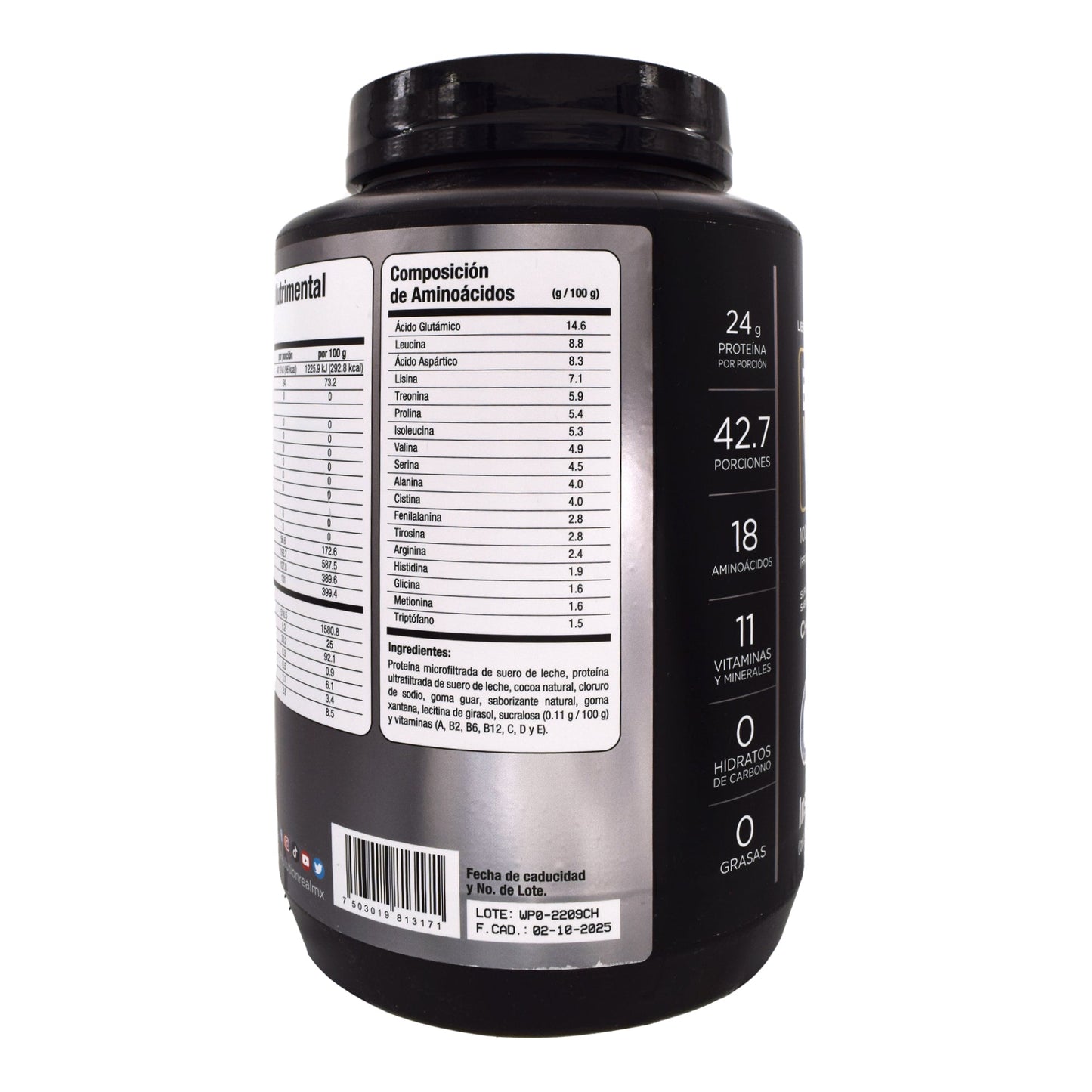 Wp 100 Chocolate Bote De 1400 G (EVOLUTION)