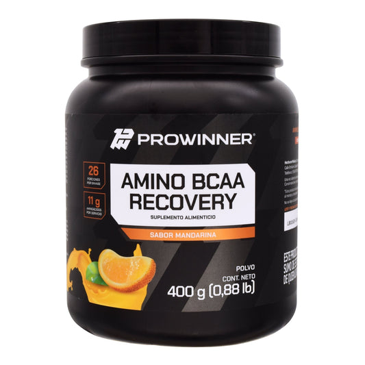 Amino Bcaa Recovery Sab Mandarina 400 G (PROWINNER)