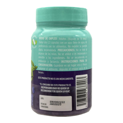 Elderberry 60 Cápsulas (SOLANUM)