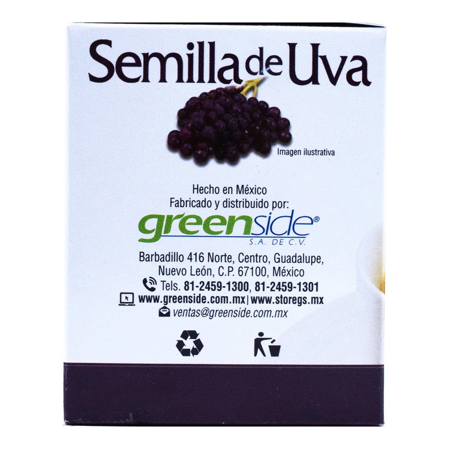 Te De Semilla De Uva 25 Bolsitas (GREENSIDE)