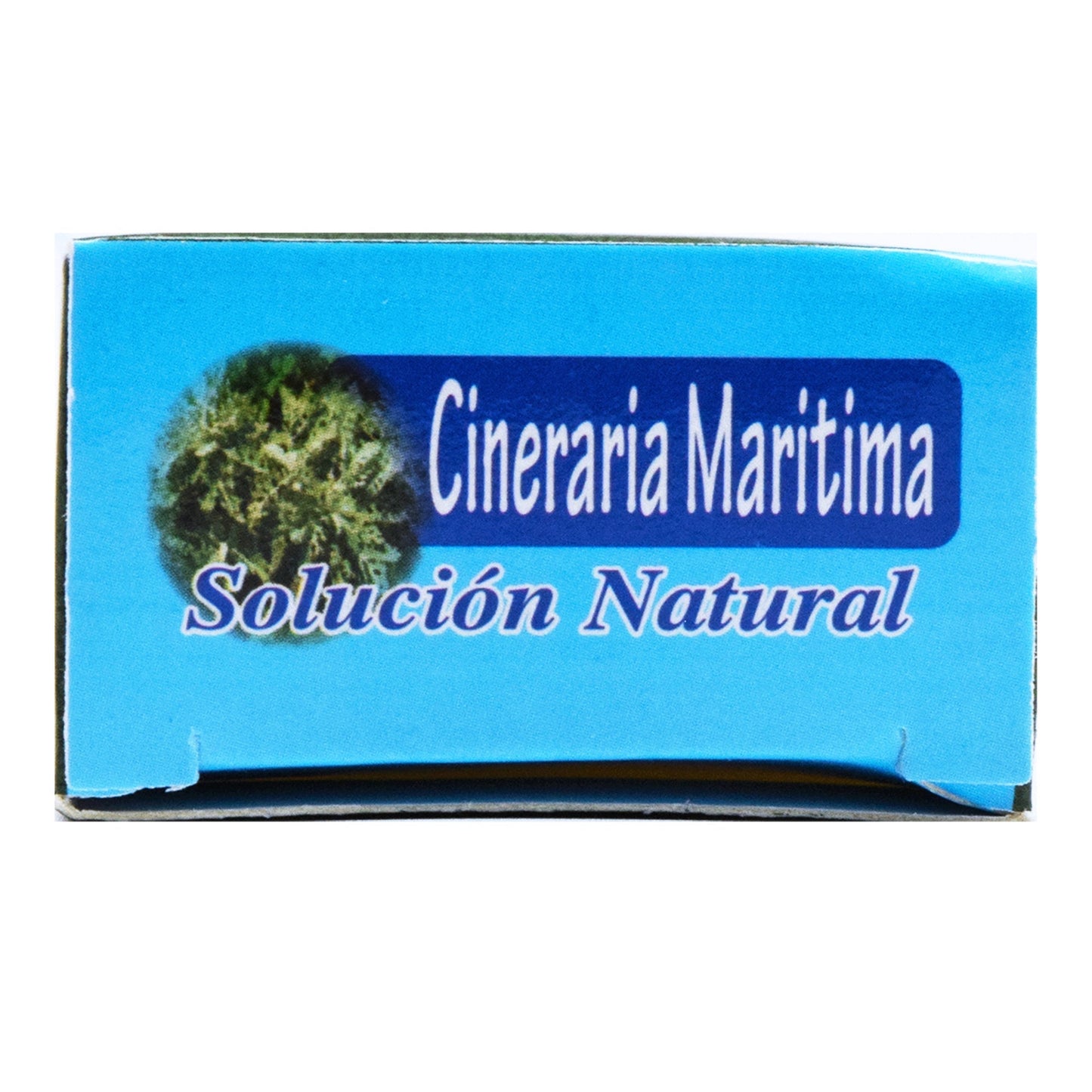 Cineraria Maritima 40 Mililitros (DINA)