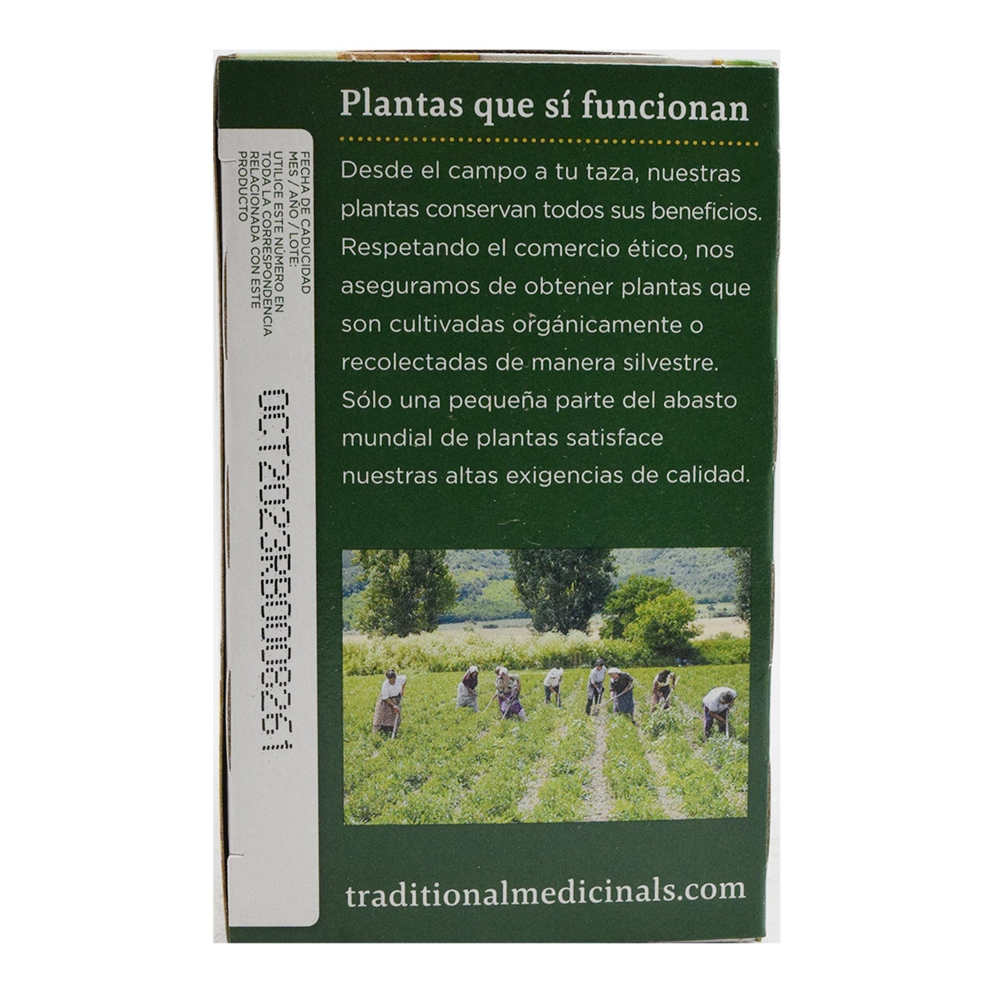 Te De Curcuma Filipendula Y Jengibre  24 G (TRADITIONAL MEDICINA)