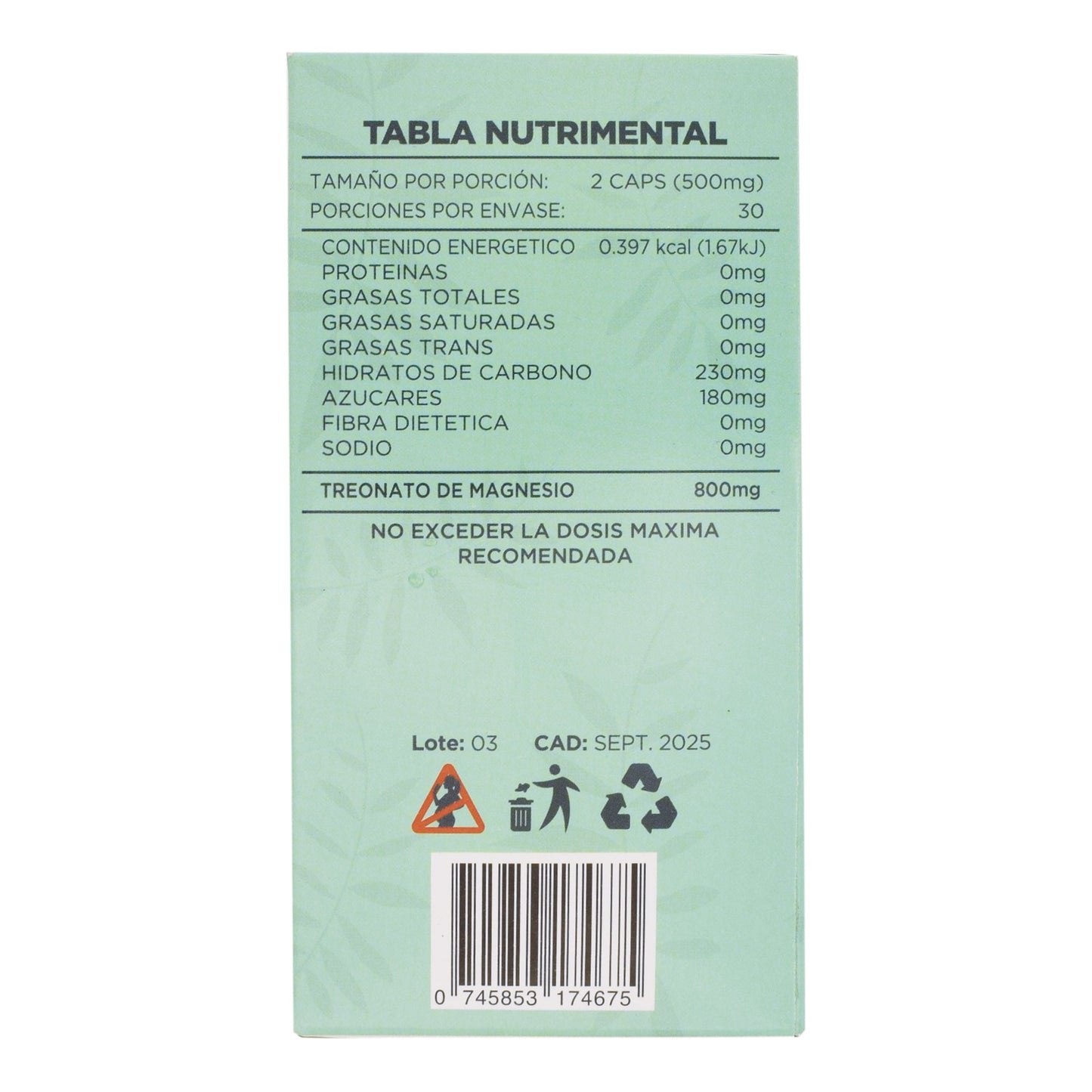 Treonato De Magnesio 60 Cápsulas (JOY NATURA)