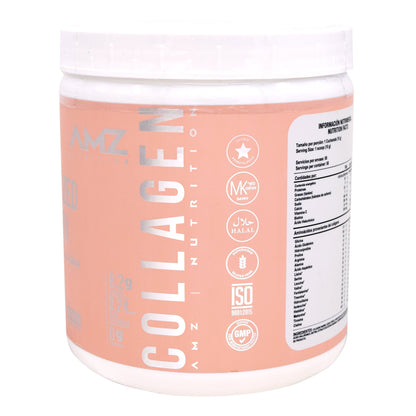Colageno Vitamina C Calcio Acido Hialuronico Biotina 500 G (AMZ)