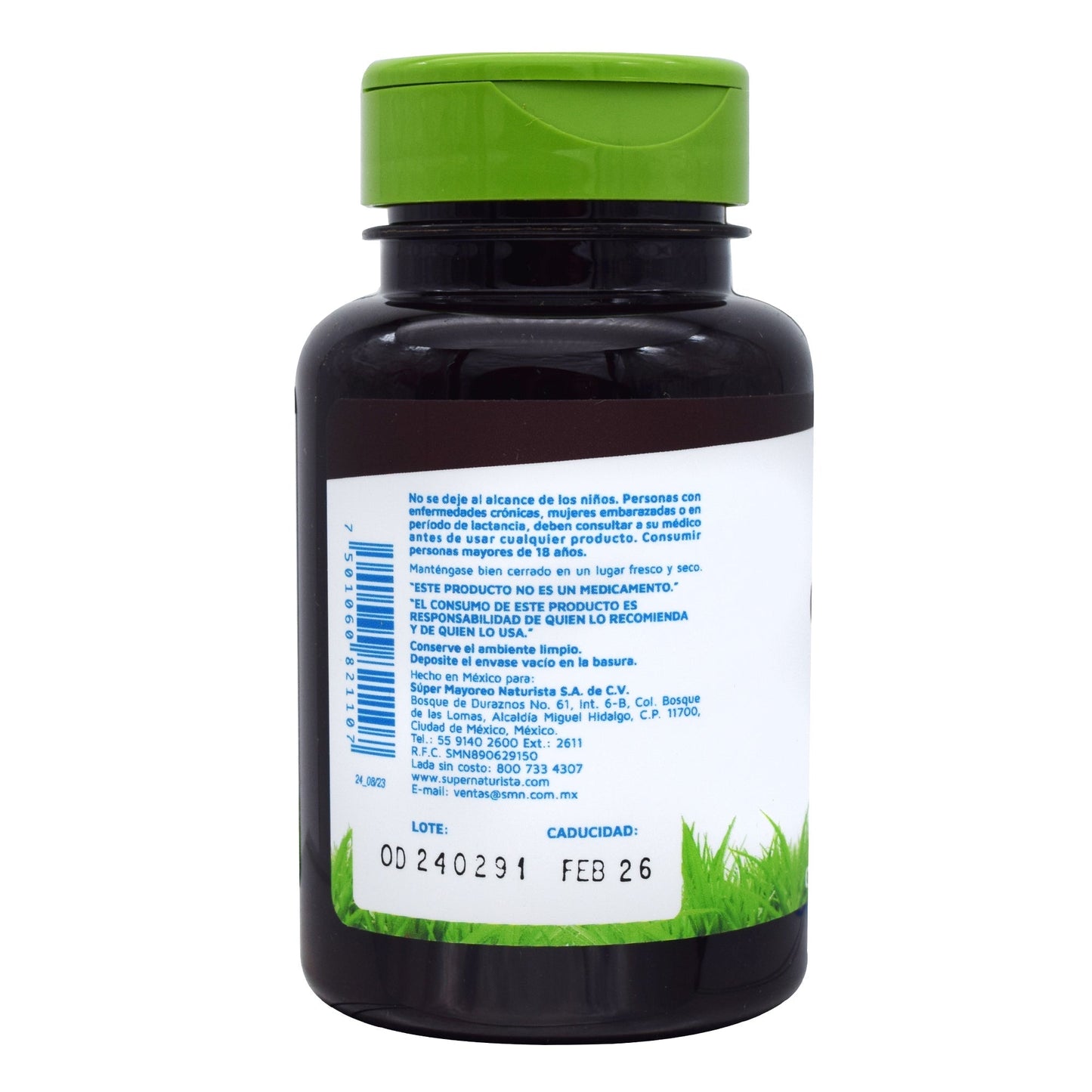 Ginkgo Biloba 90 Cápsulas (VIDANAT/VITAMINAS)