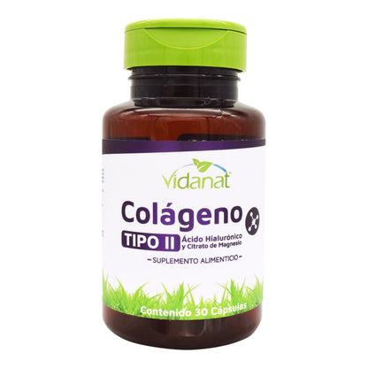 Colageno Tipo Ii Acido Hialuronico Magnesio 30 Cápsulas (VIDANAT VITAMINAS)