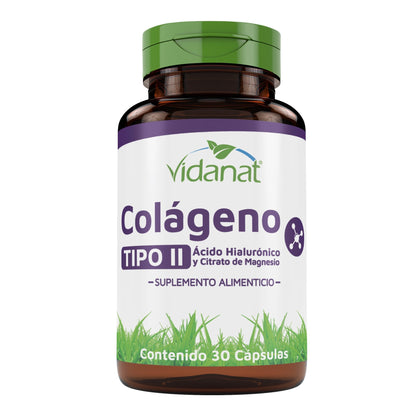 Colageno Tipo Ii Acido Hialuronico Magnesio 30 Cápsulas (VIDANAT VITAMINAS)