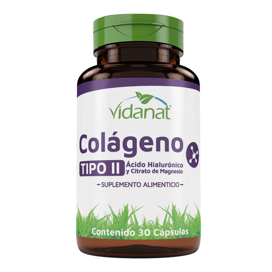 Colageno Tipo Ii Acido Hialuronico Magnesio 30 Cápsulas (VIDANAT VITAMINAS)
