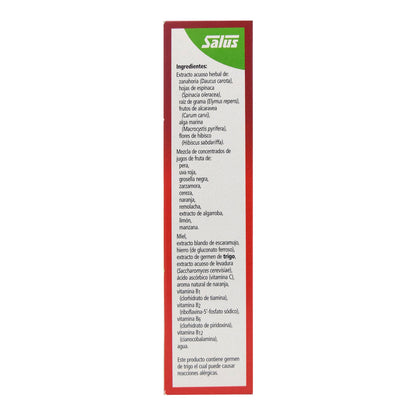 Floradix Hierro 250 Mililitros (SALUS)