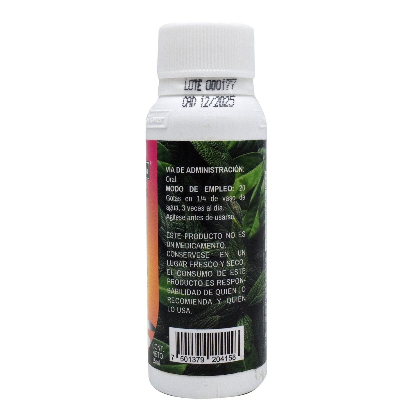 Gingo Biloba Extracto 55 Mililitros (NATURAL FLOWER)