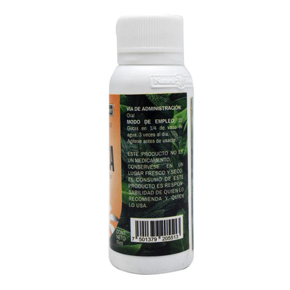 Extracto Equinacea 55 Mililitros (NATURAL FLOWER)