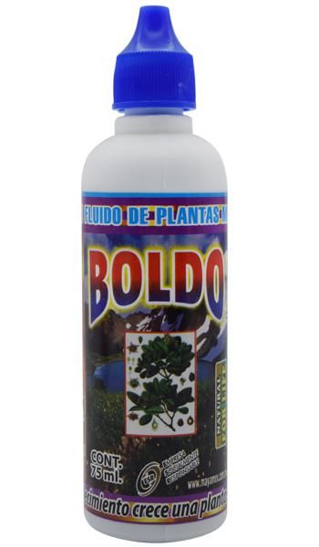 Boldo Extracto 75 Ml