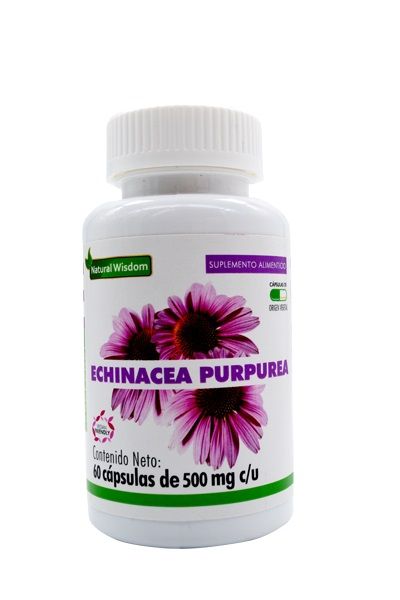 Echinacea Purpurea 60 Cap